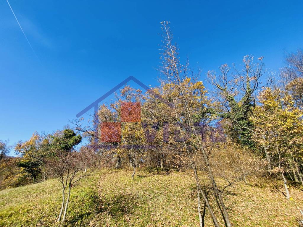 Jastrebarsko - Okolica, Sveta Jana