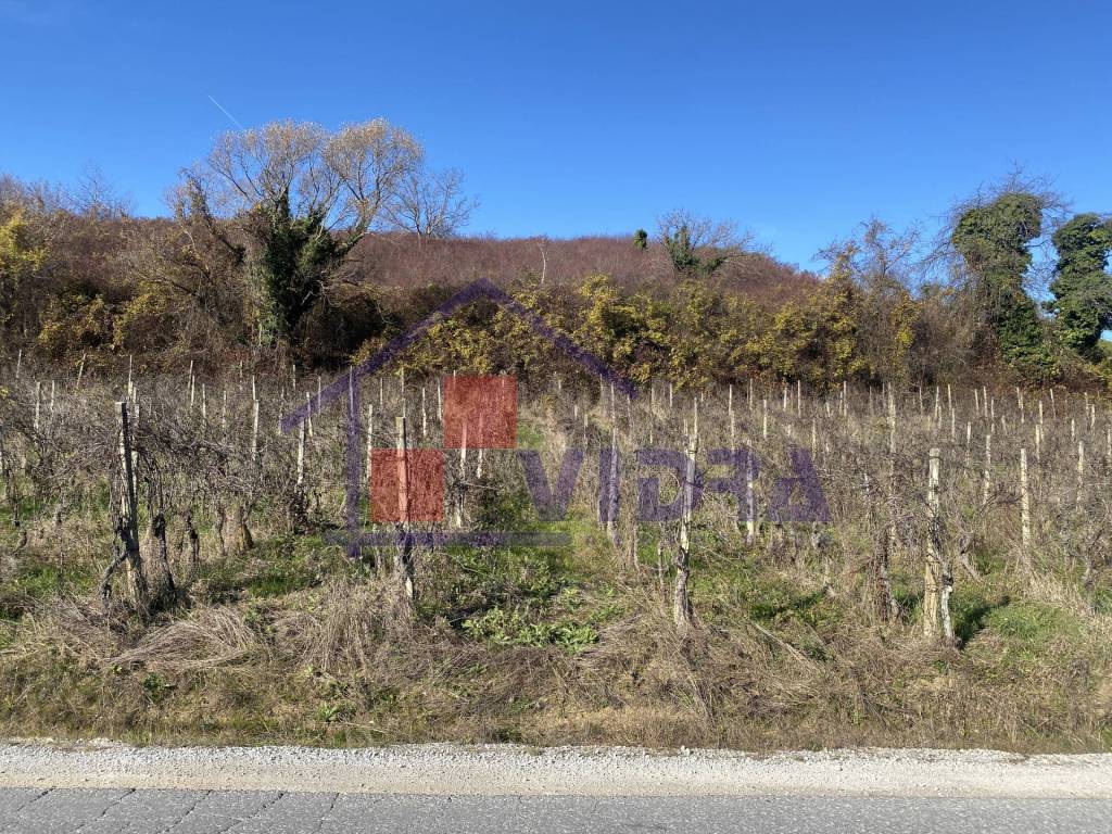 Jastrebarsko - Okolica, Sveta Jana