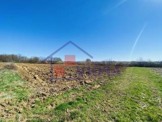 Poljoprivredno zemljiste, Prodaja, Klinca sela, Kupinec