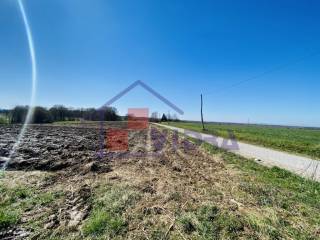 Poljoprivredno zemljiste, Prodaja, Klinca sela, Kupinec