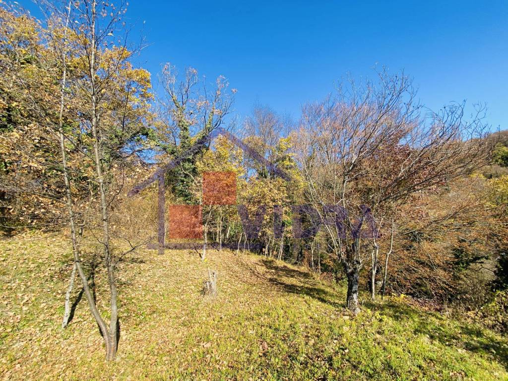 Jastrebarsko - Okolica, Sveta Jana