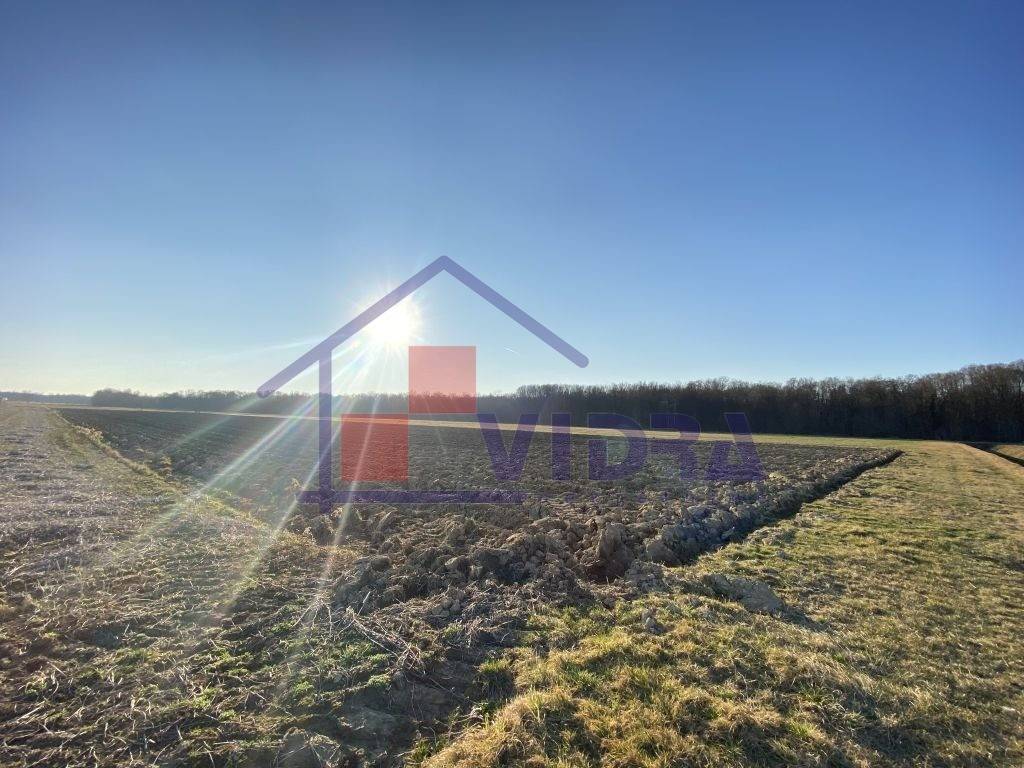 Poljoprivredno zemljiste, Prodaja, Pisarovina, Bratina