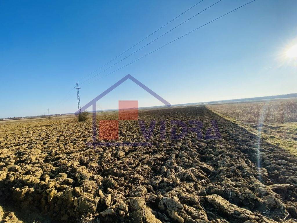 Poljoprivredno zemljiste, Prodaja, Pisarovina, Bratina