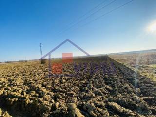 Poljoprivredno zemljiste, Prodaja, Pisarovina, Bratina