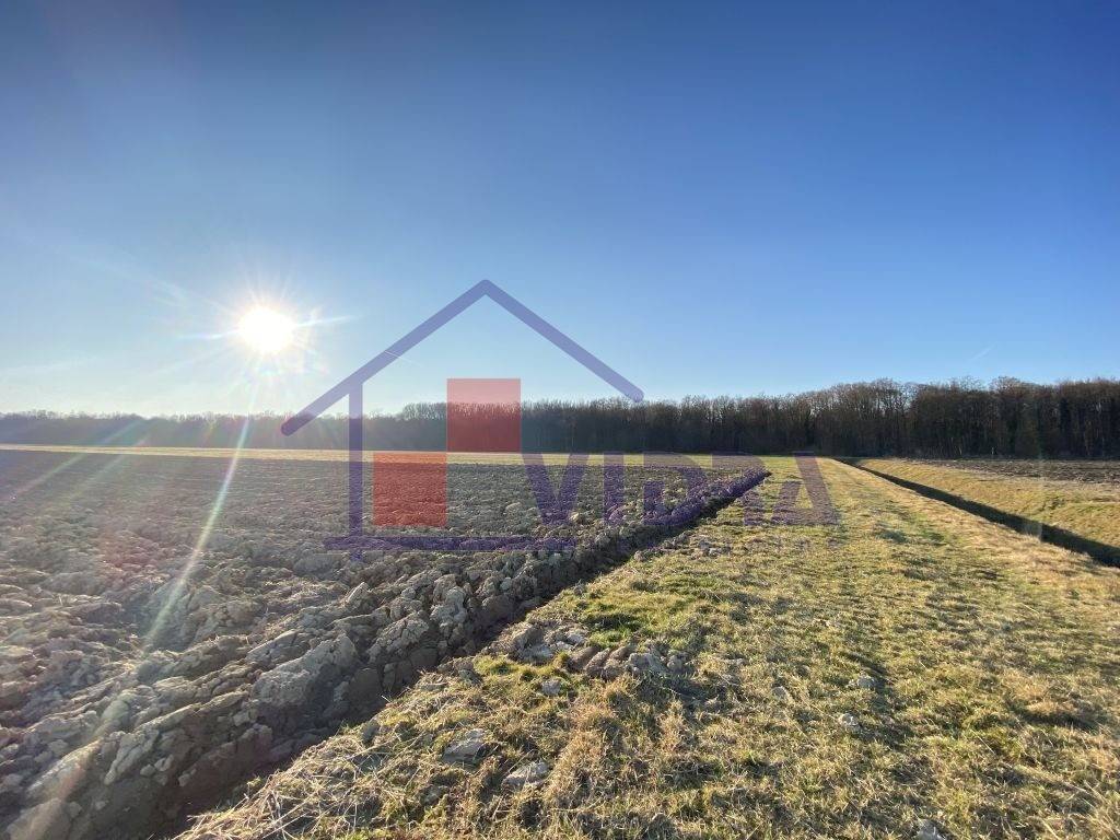 Poljoprivredno zemljiste, Prodaja, Pisarovina, Bratina