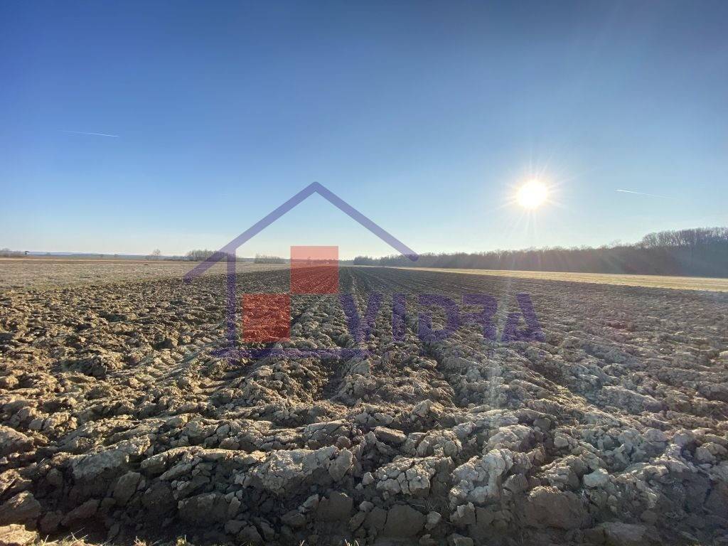 Poljoprivredno zemljiste, Prodaja, Pisarovina, Bratina