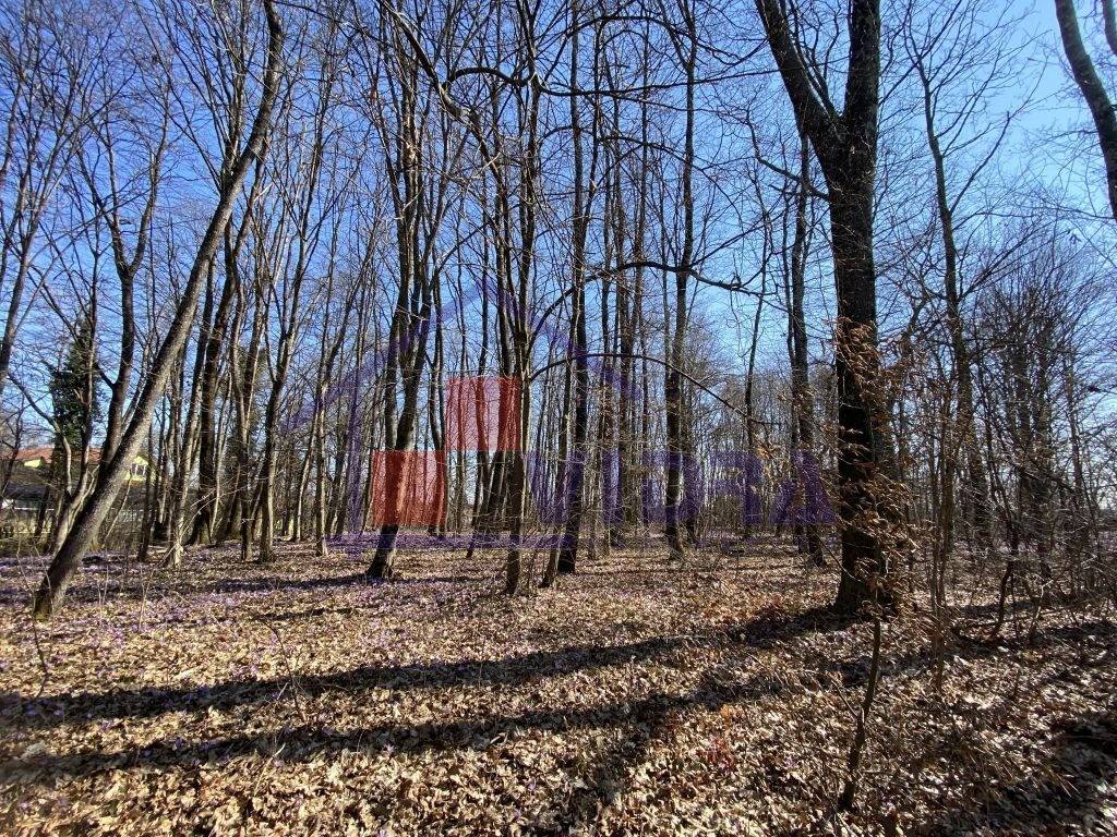 Suma, Prodaja, Klinca sela, Kozlikovo