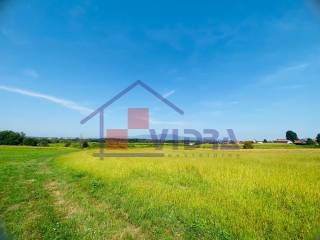 Poljoprivredno zemljiste, Prodaja, Klinca sela, Kupinec