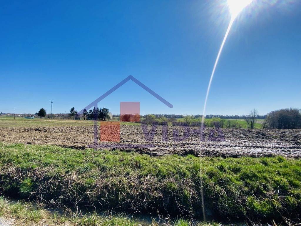 Poljoprivredno zemljiste, Prodaja, Klinca sela, Kupinec