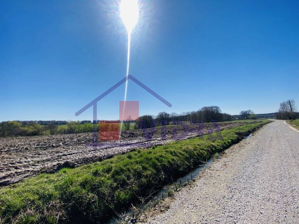 Poljoprivredno zemljiste, Prodaja, Klinca sela, Kupinec