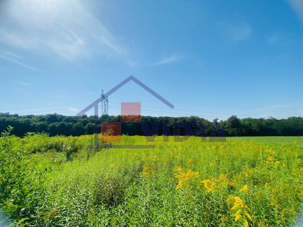 Poljoprivredno zemljiste, Prodaja, Klinca sela, Kupinec