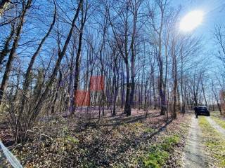 Suma, Prodaja, Klinca sela, Kozlikovo