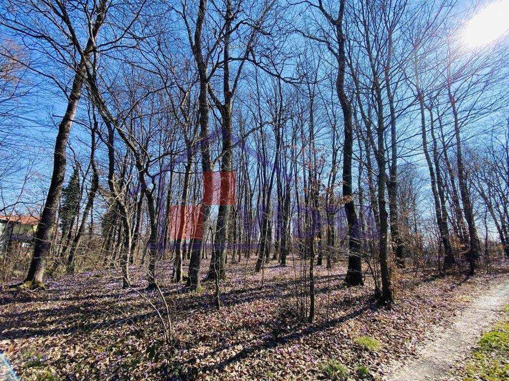 Suma, Prodaja, Klinca sela, Kozlikovo