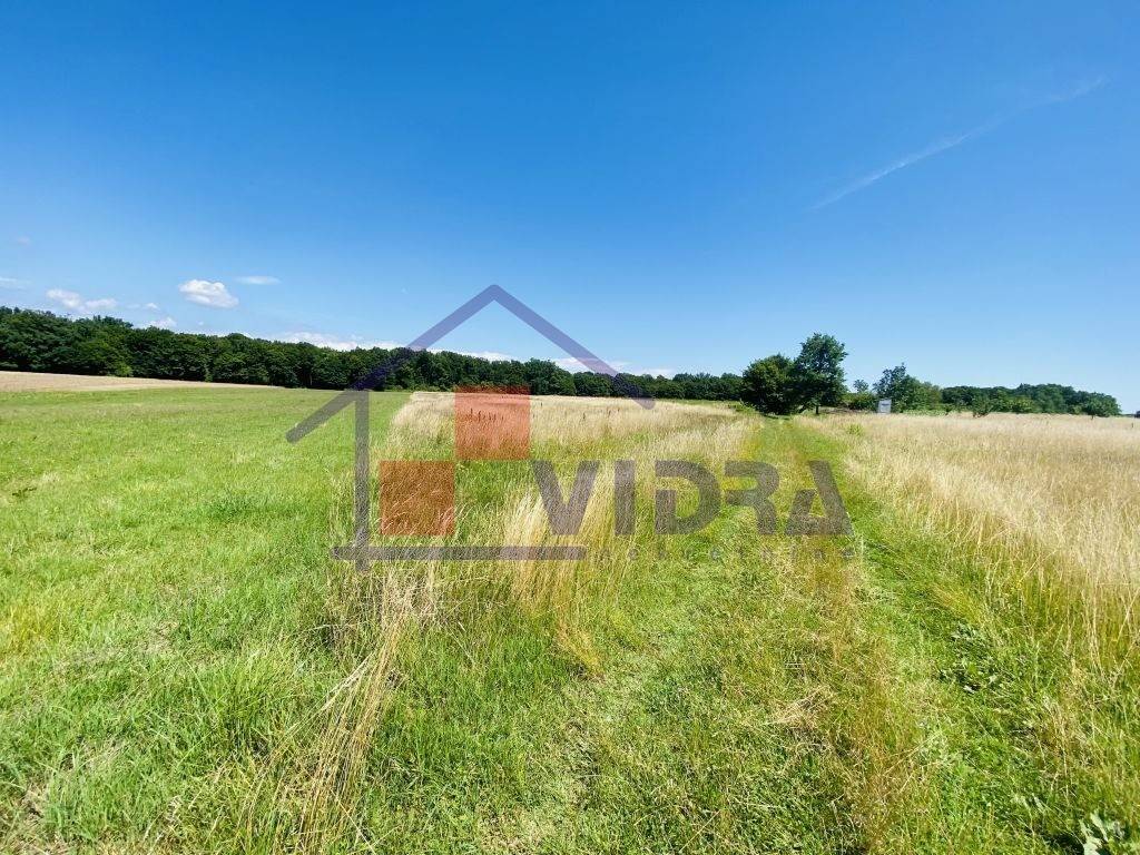 Poljoprivredno zemljiste, Prodaja, Klinca sela, Kupinec