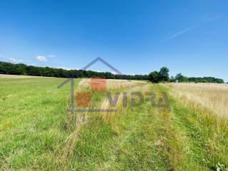 Poljoprivredno zemljiste, Prodaja, Klinca sela, Kupinec