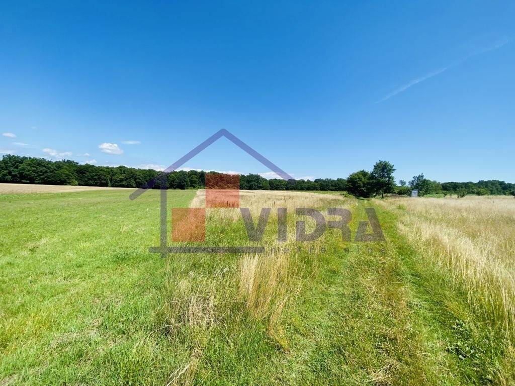 Poljoprivredno zemljiste, Prodaja, Klinca sela, Kupinec