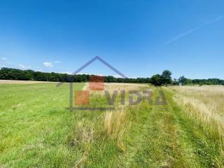 Poljoprivredno zemljiste, Prodaja, Klinca sela, Kupinec