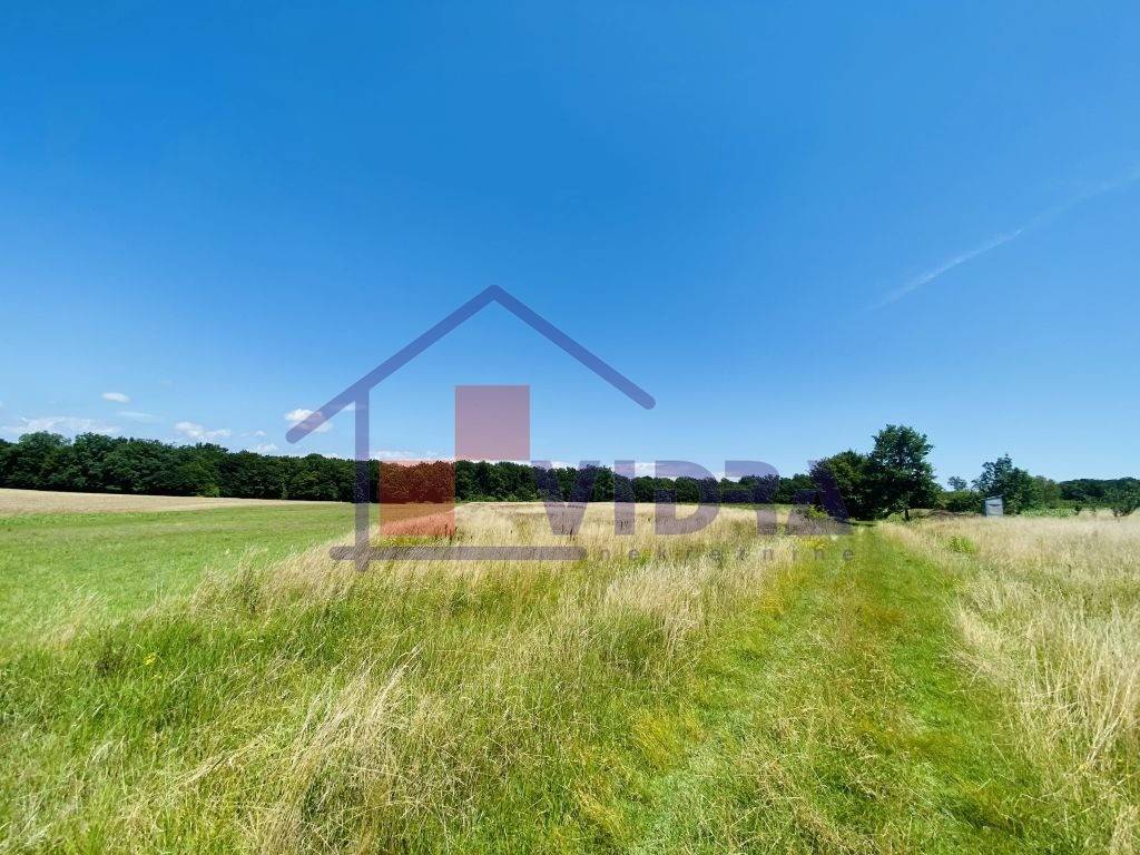 Poljoprivredno zemljiste, Prodaja, Klinca sela, Kupinec