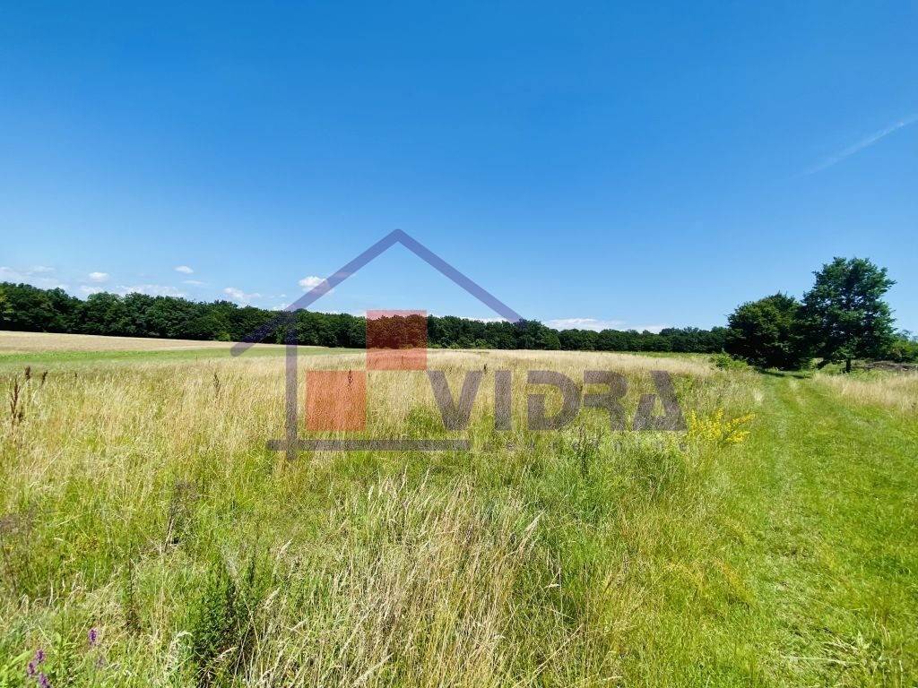 Poljoprivredno zemljiste, Prodaja, Klinca sela, Kupinec