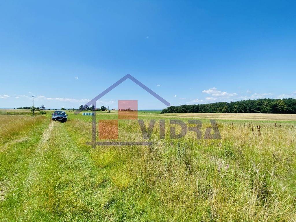 Poljoprivredno zemljiste, Prodaja, Klinca sela, Kupinec