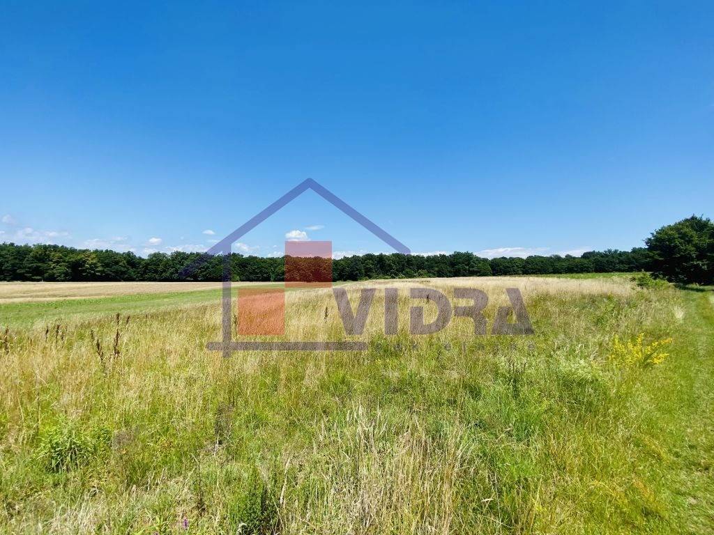 Poljoprivredno zemljiste, Prodaja, Klinca sela, Kupinec