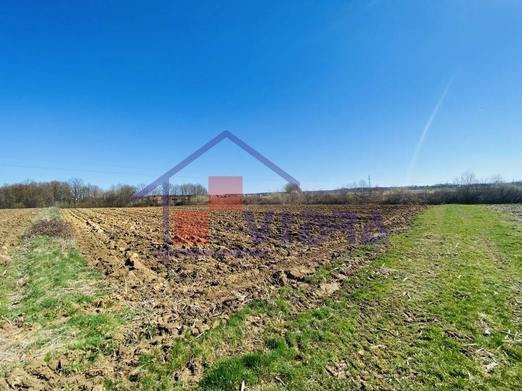 Poljoprivredno zemljiste, Prodaja, Klinca sela, Kupinec