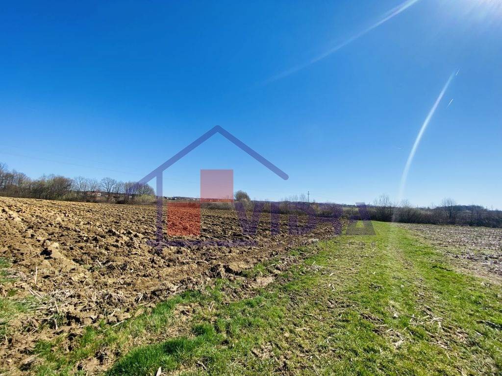 Poljoprivredno zemljiste, Prodaja, Klinca sela, Kupinec