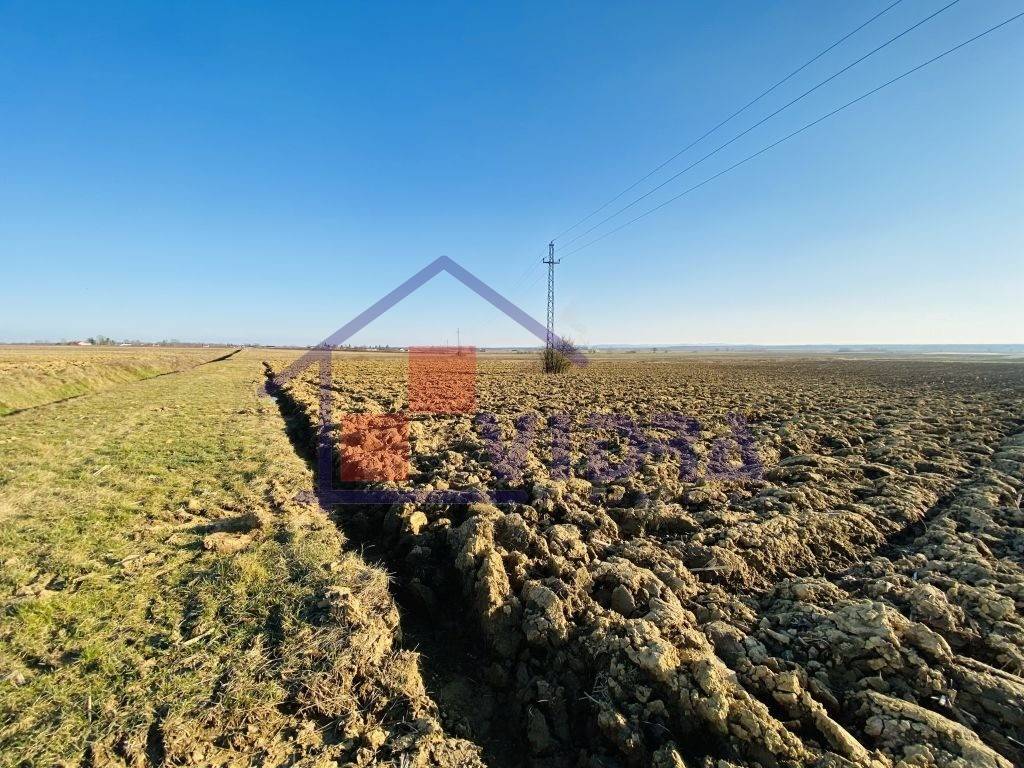 Poljoprivredno zemljiste, Prodaja, Pisarovina, Bratina