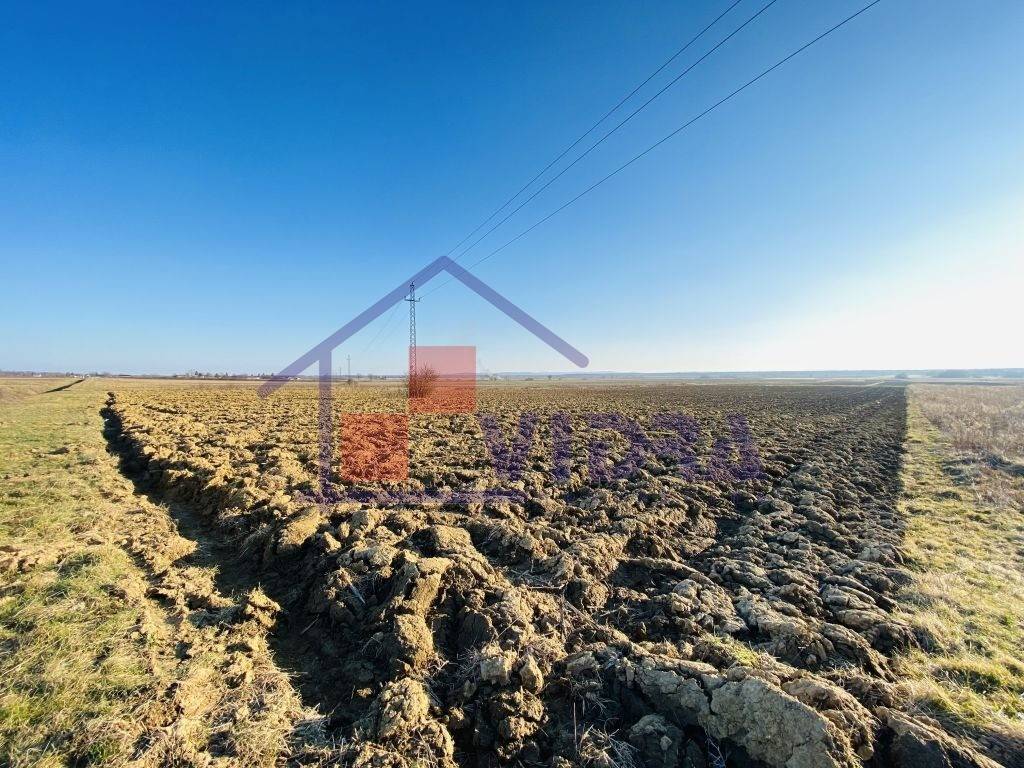 Poljoprivredno zemljiste, Prodaja, Pisarovina, Bratina