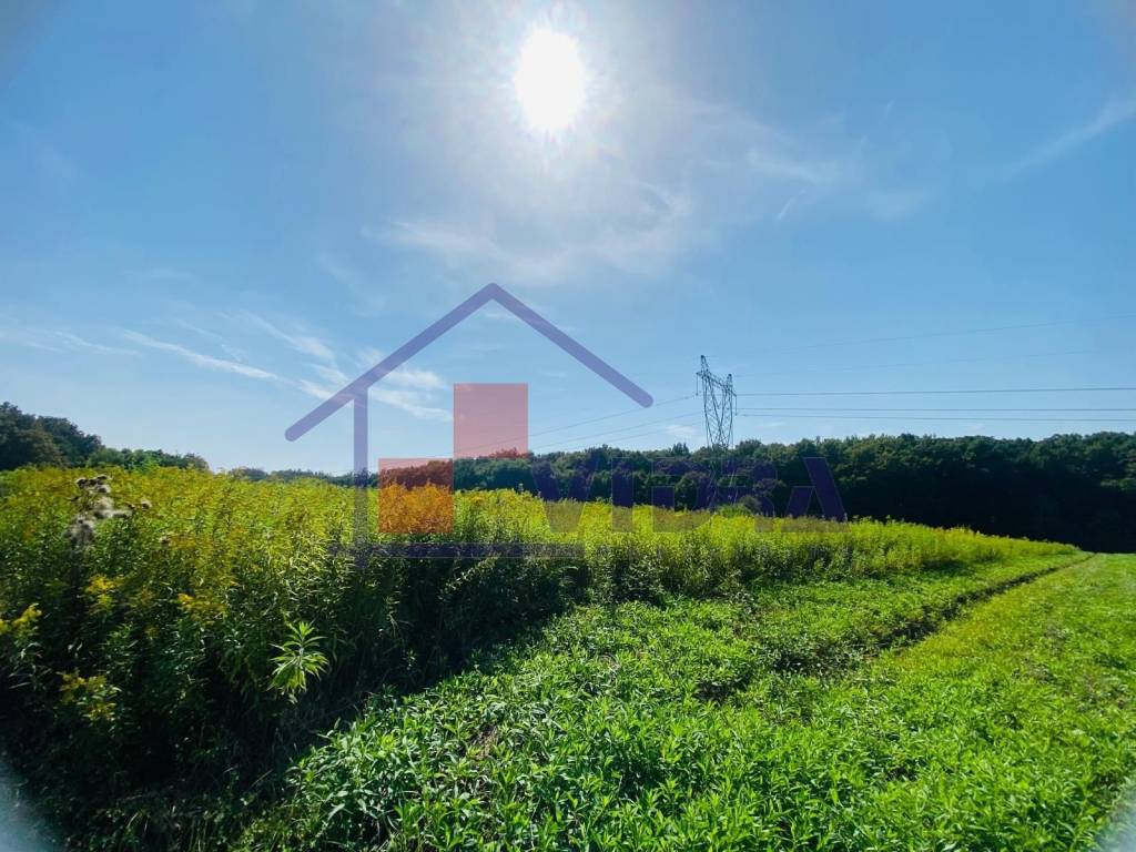 Poljoprivredno zemljiste, Prodaja, Klinca sela, Kupinec