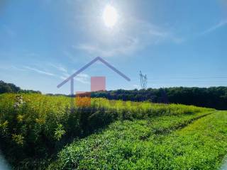 Poljoprivredno zemljiste, Prodaja, Klinca sela, Kupinec