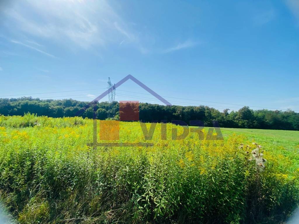 Poljoprivredno zemljiste, Prodaja, Klinca sela, Kupinec