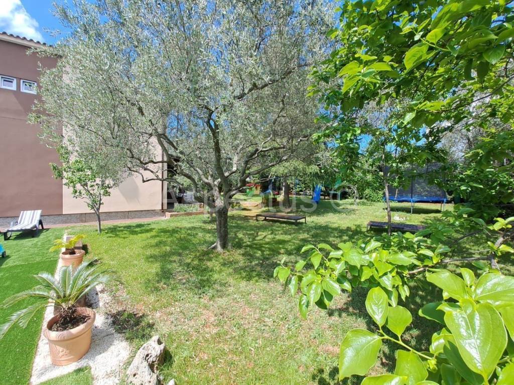 Obiteljska kuća, Prodaja, Fažana, Fažana