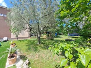 Obiteljska kuća, Prodaja, Fažana, Fažana