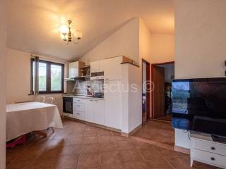 Kuća prizemnica, Prodaja, Pula, Pula