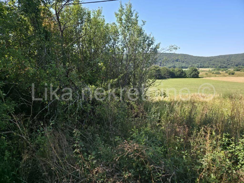 Kuća na selu, Prodaja, Brinje, Stajnica