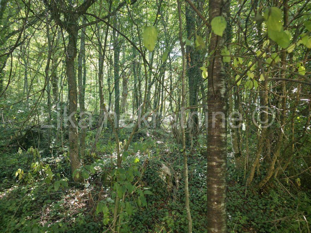 Kuća na selu, Prodaja, Brinje, Stajnica