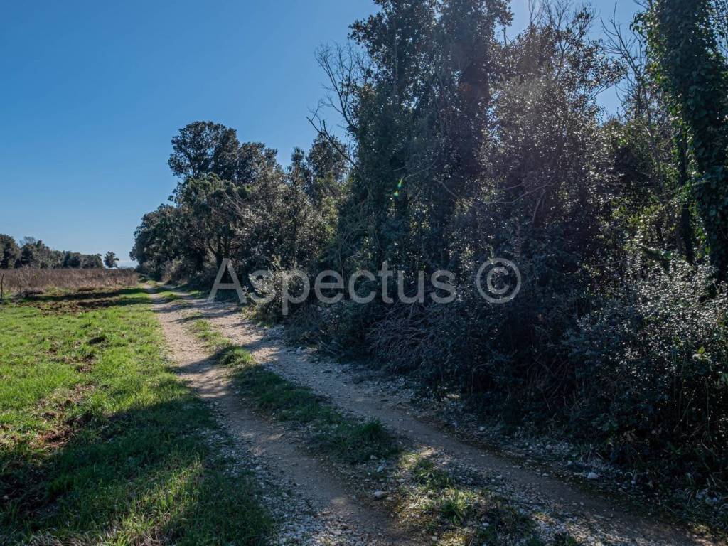 Zemljište - ostalo, Prodaja, Ližnjan, Ližnjan