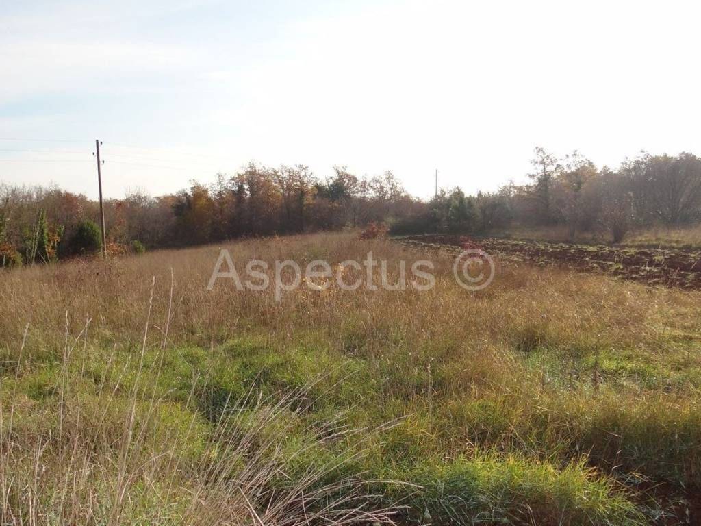 Land, Sale, Svetvinčenat