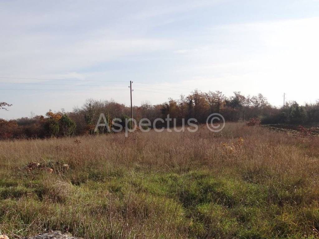 Land, Sale, Svetvinčenat