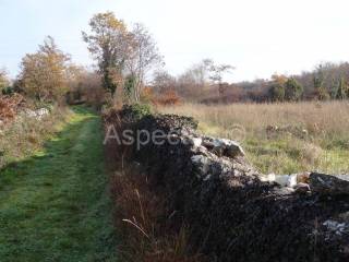 Land, Sale, Svetvinčenat