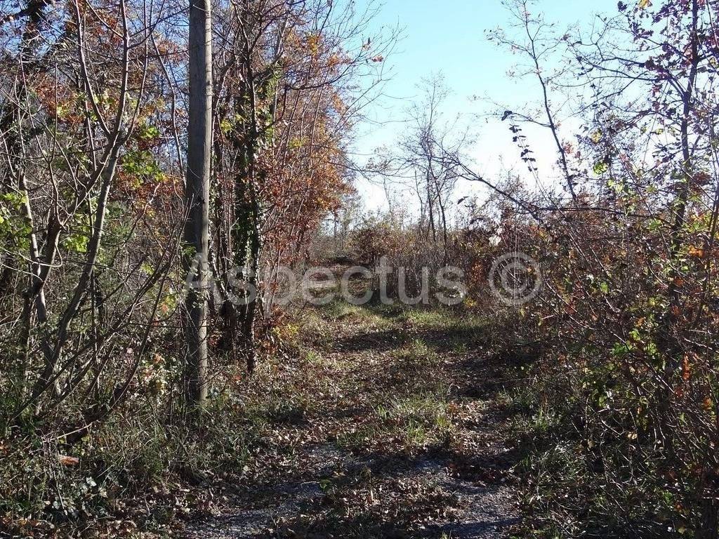 Zemljište, Prodaja, Marcana