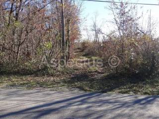 Zemljište, Prodaja, Marcana