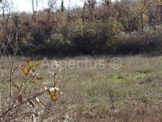 Zemljište, Prodaja, Marcana