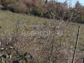 Zemljište, Prodaja, Marcana