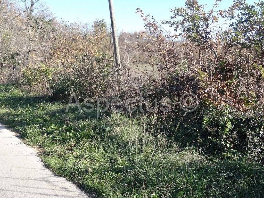 Zemljište, Prodaja, Marcana