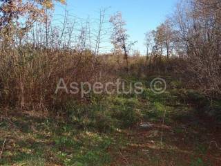 Zemljište, Prodaja, Marcana