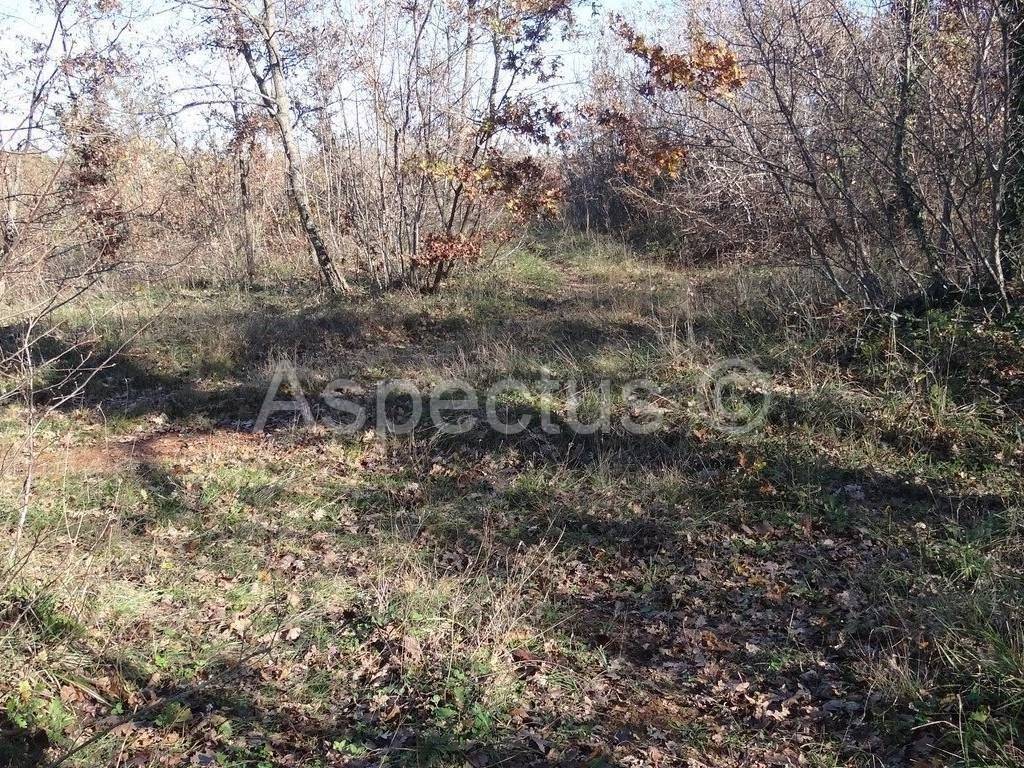 Zemljište, Prodaja, Marcana