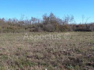 Zemljište, Prodaja, Marcana