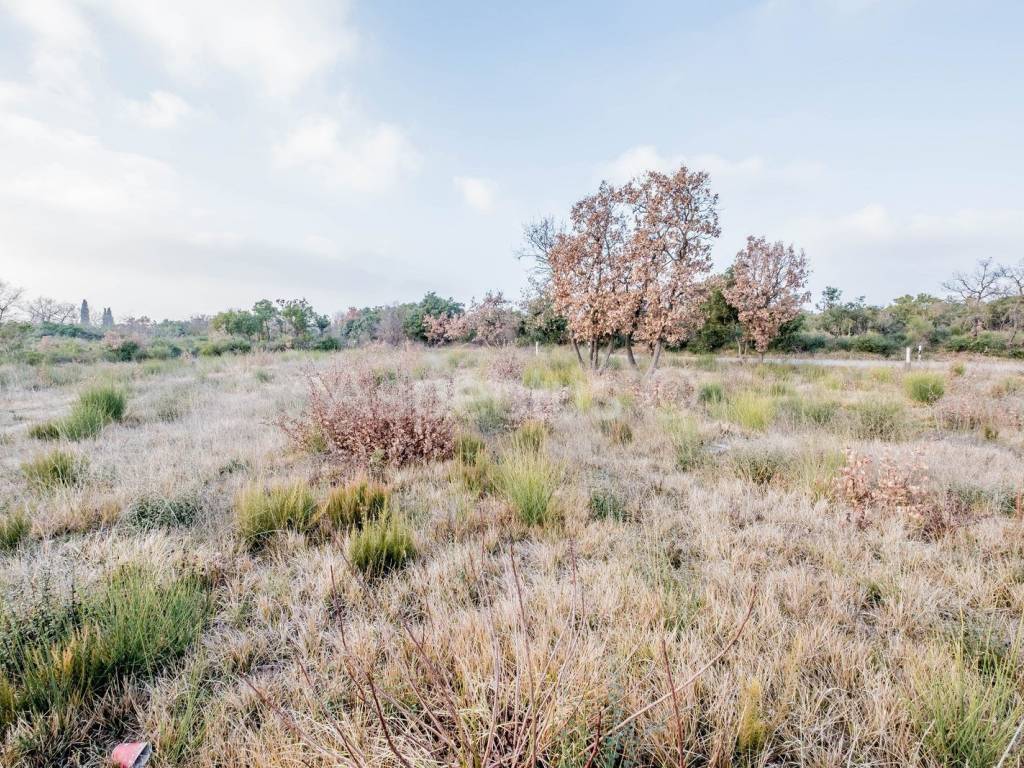 Poljoprivredno zemljište, Prodaja, Pula, Pula